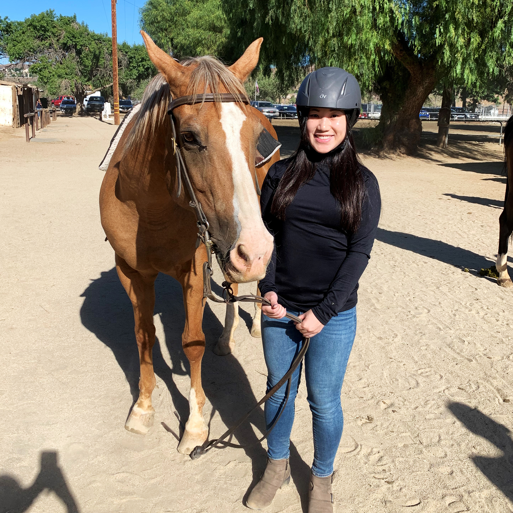 Horseback Riding