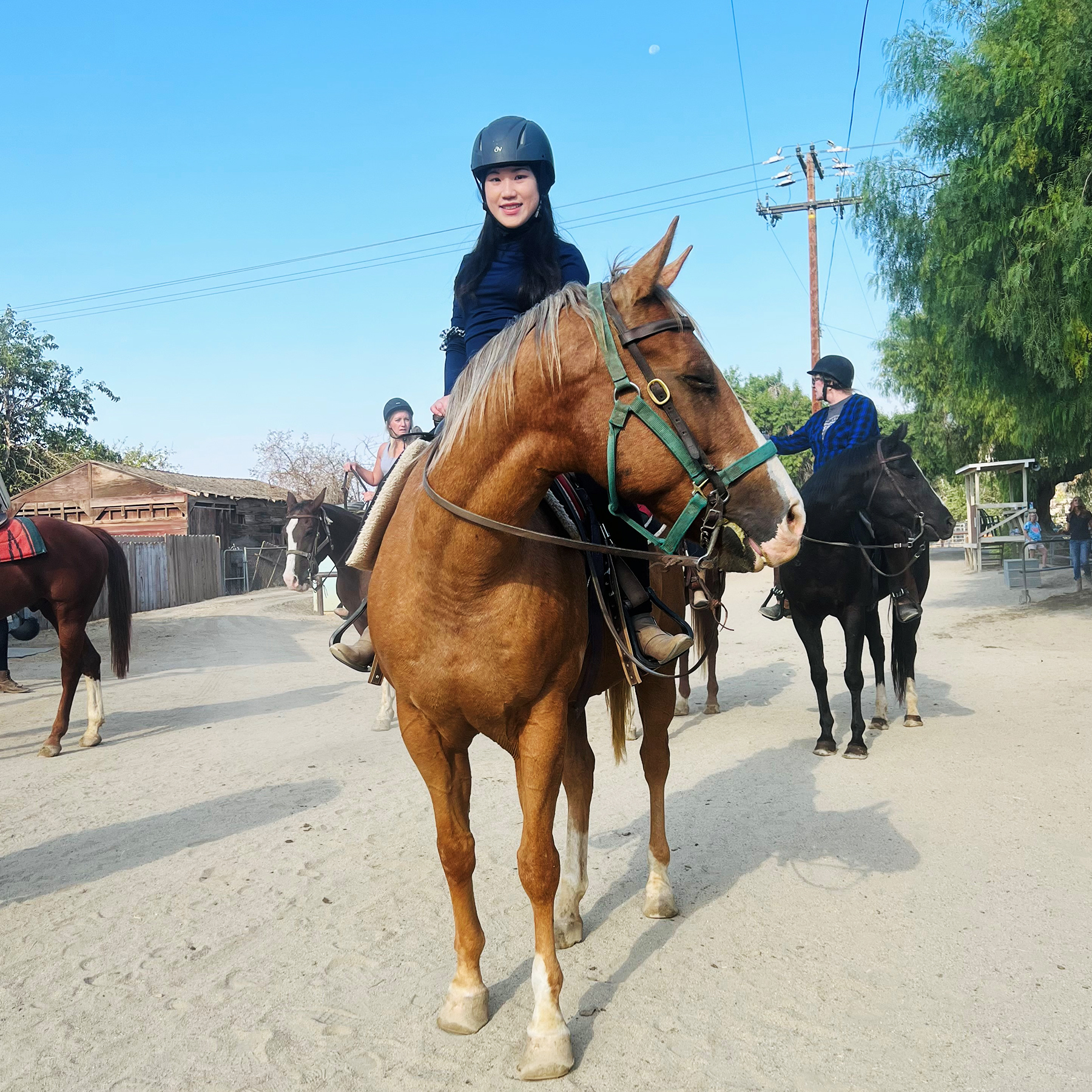 Horseback Riding