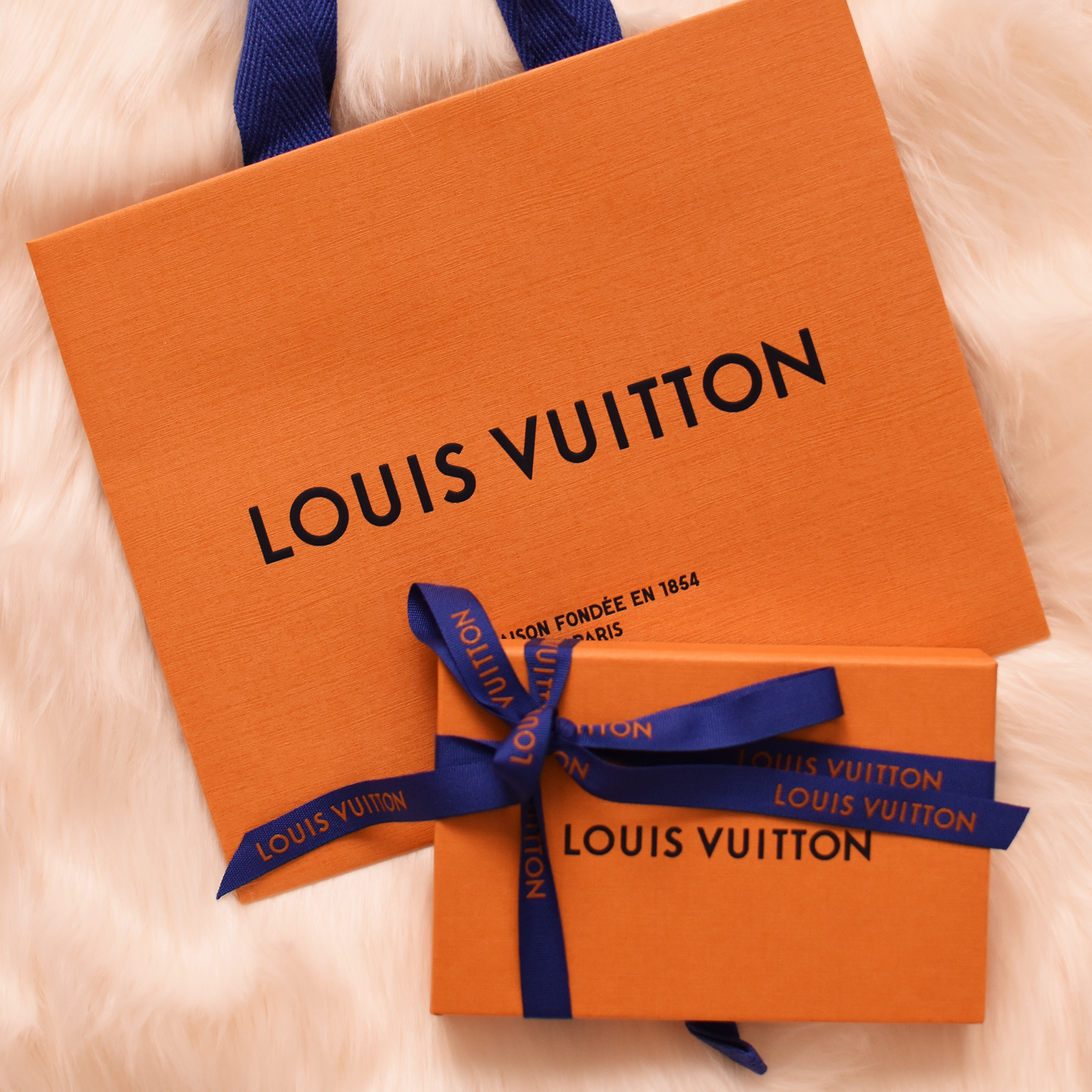 Louis Vuitton Paper Bag With Gift Card and Ribbon 