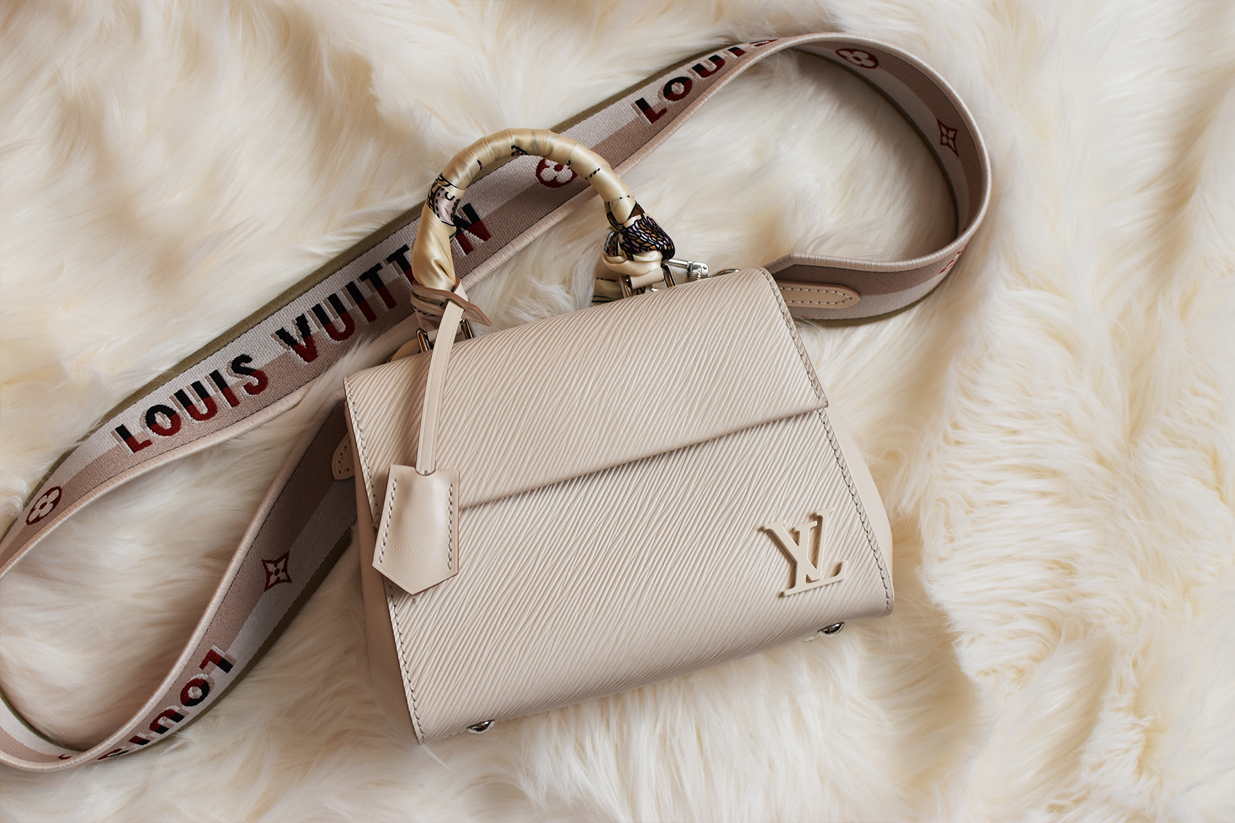 Louis Vuitton Mini Cluny Bag