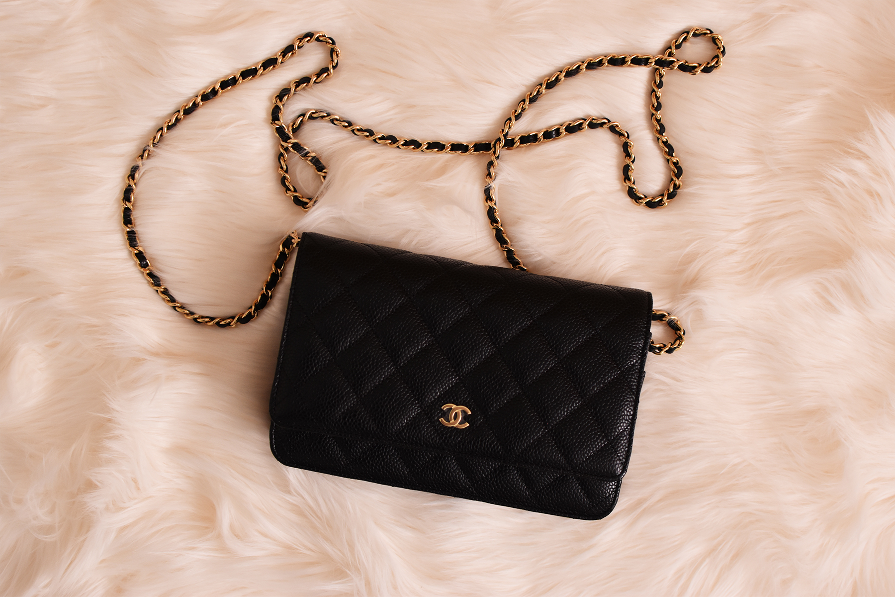 We love the versatility of the classic Chanel wallet on chain (woc