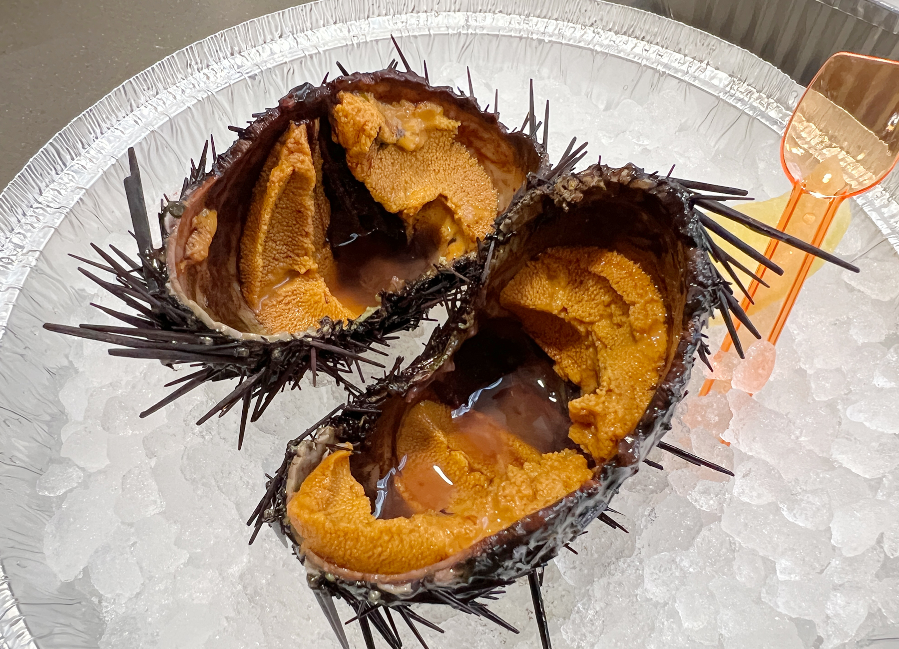 Broad Street Oyster Company - Sea Urchin