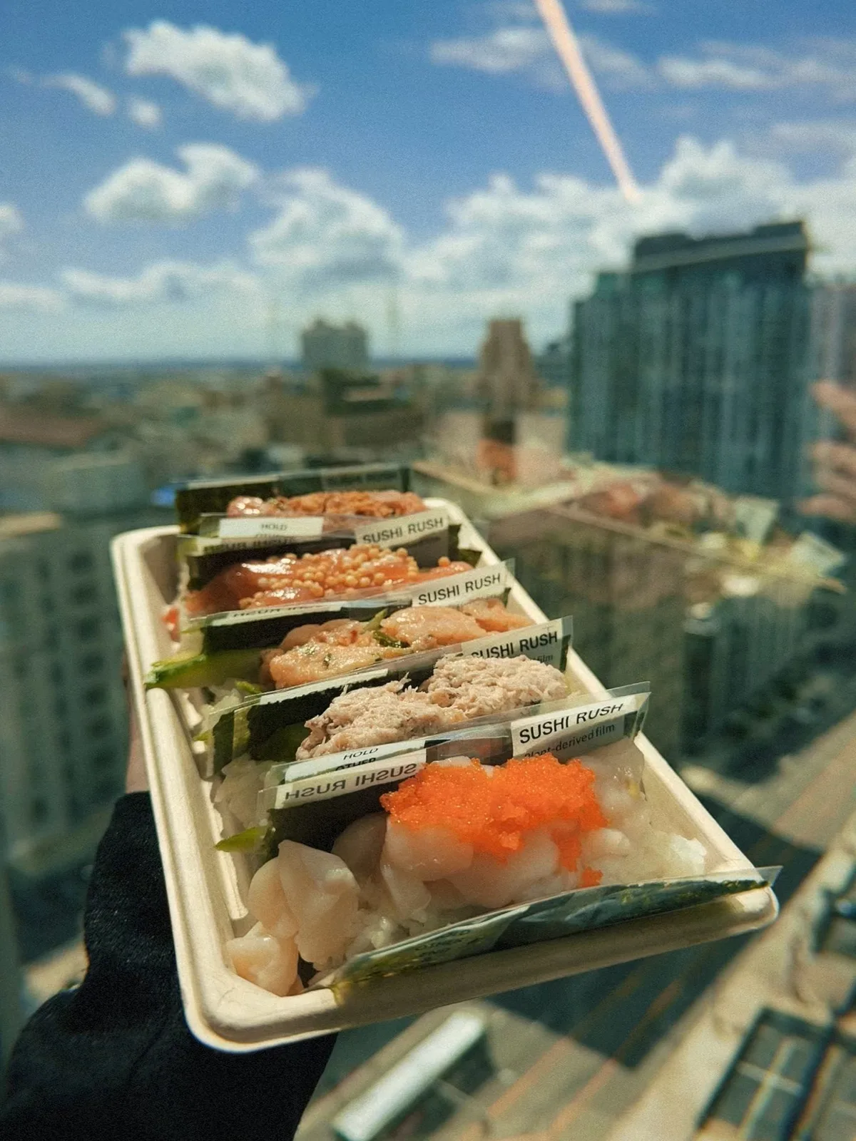 Sushi Rush Rushroll Set