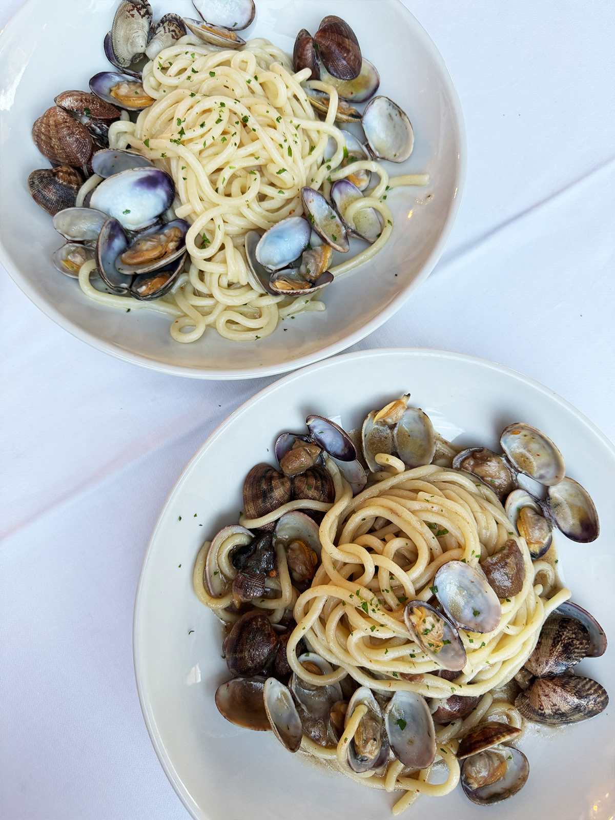 ostia zero nodi clam pasta