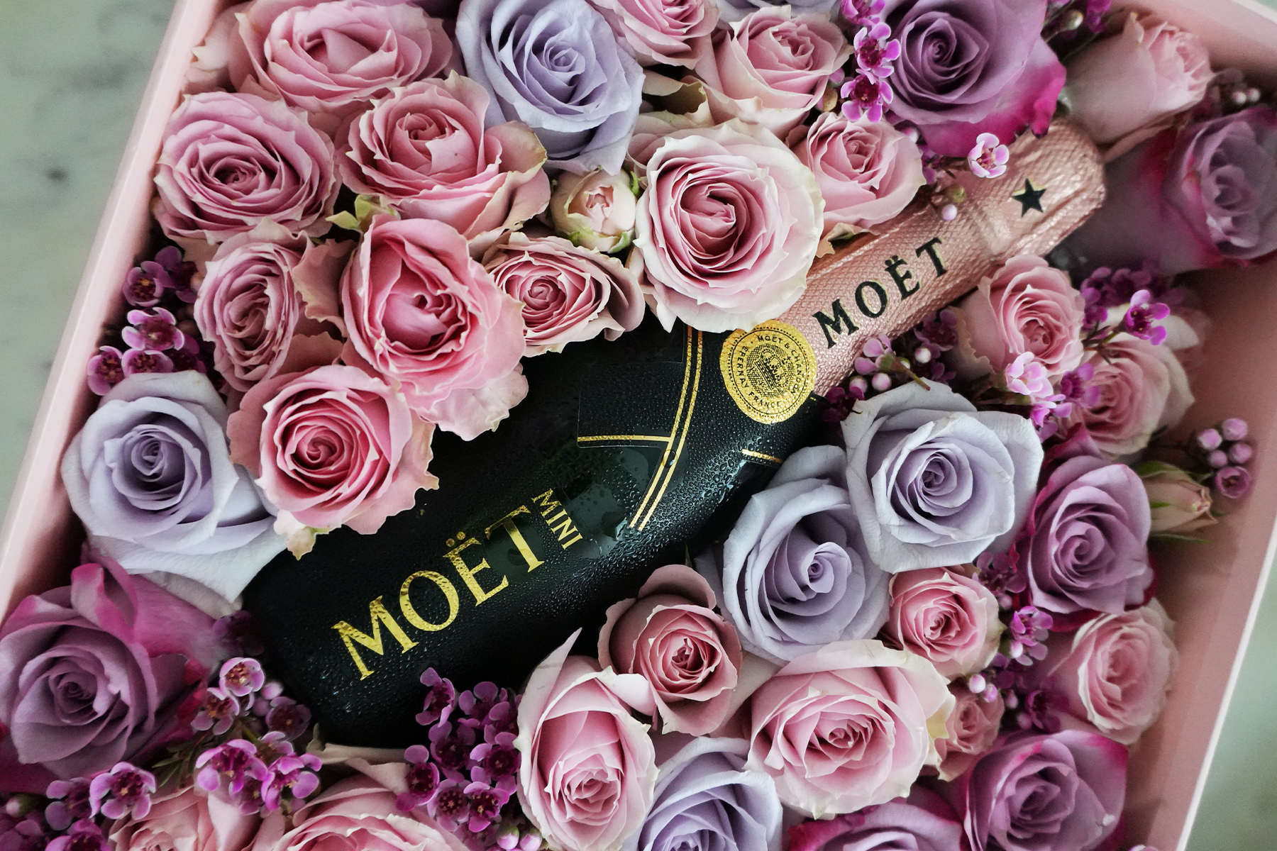 Moet Champagne  The Lifestyle Edit