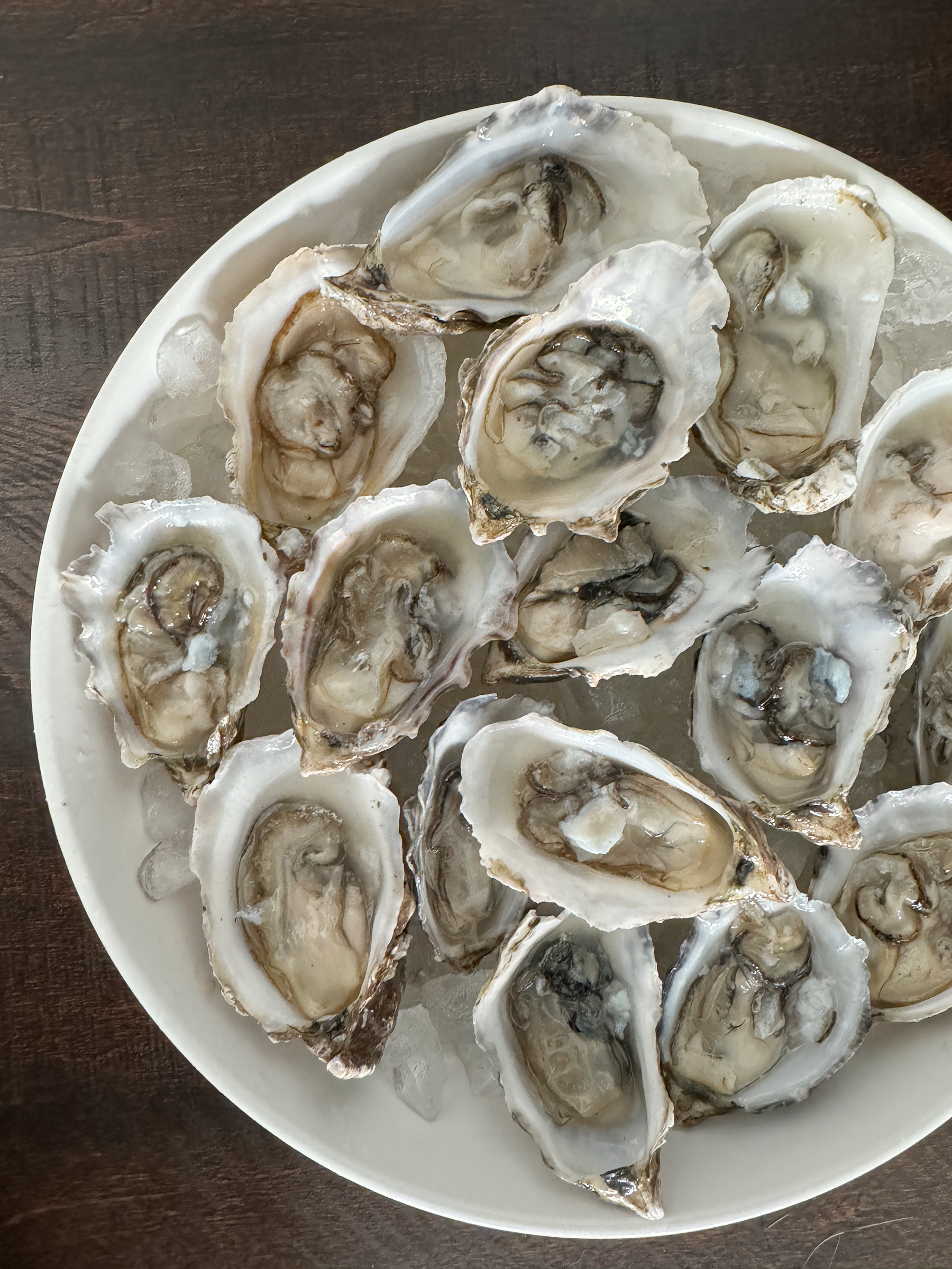 oysters