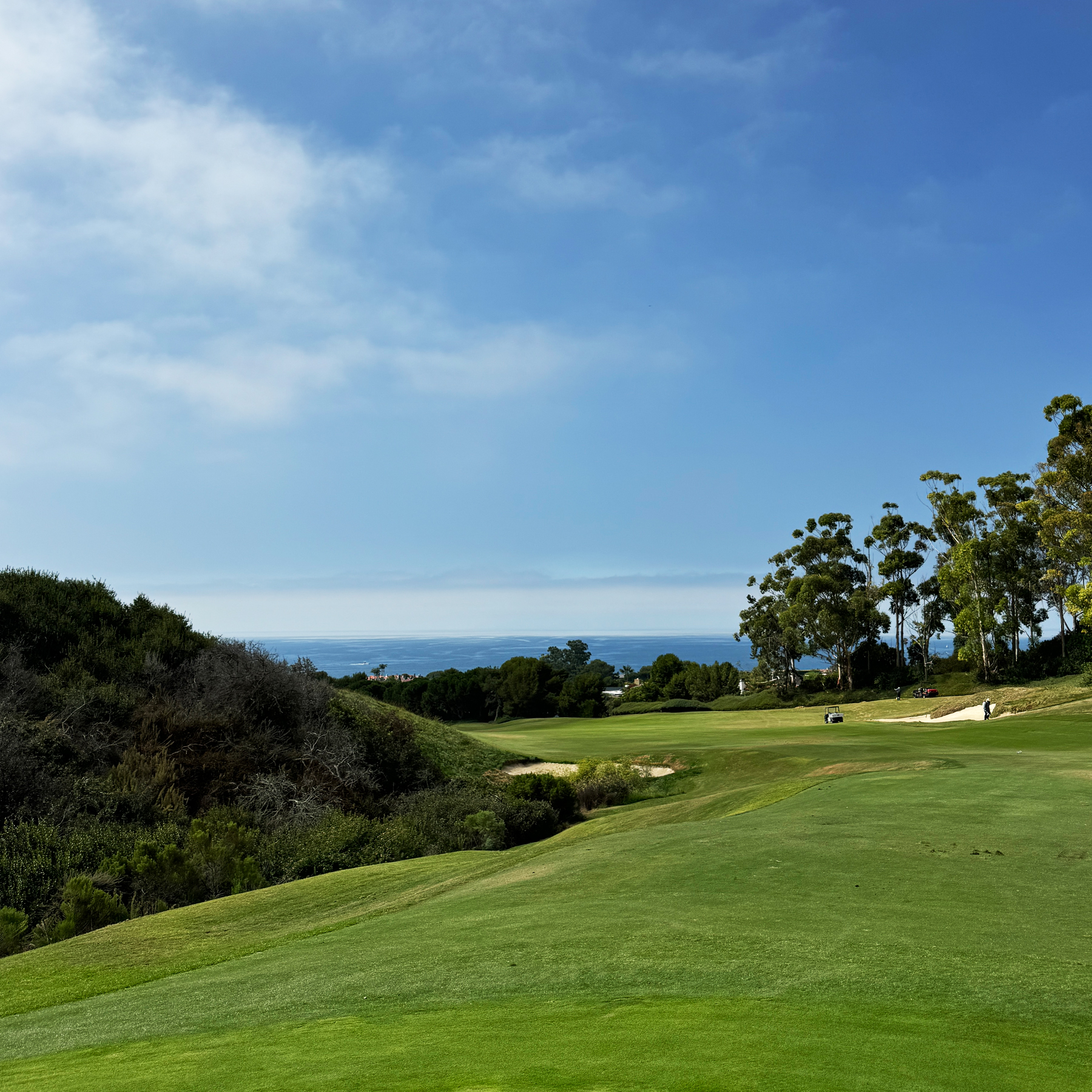 Pelican Hill Golf