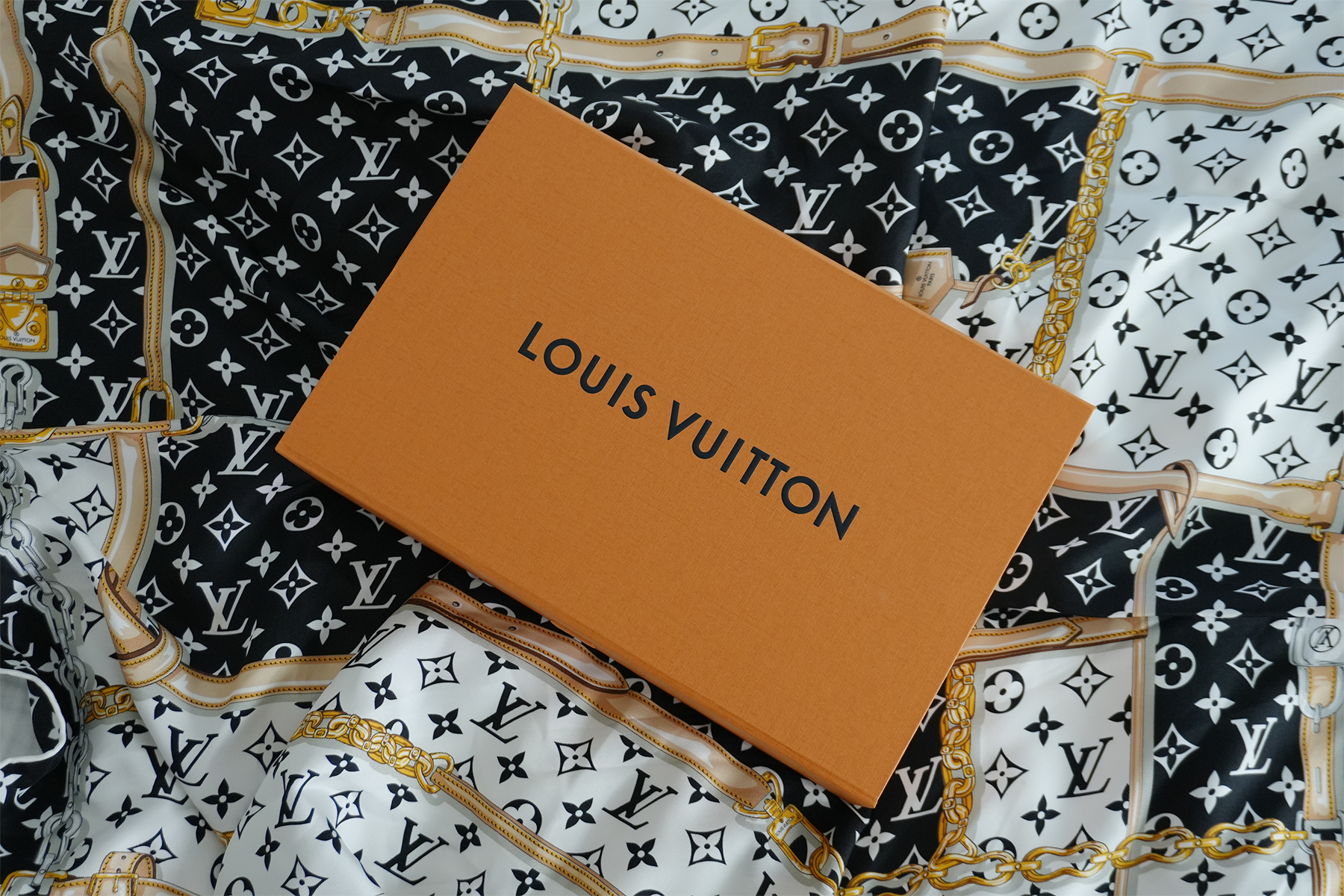 Louis Vuitton Packaging