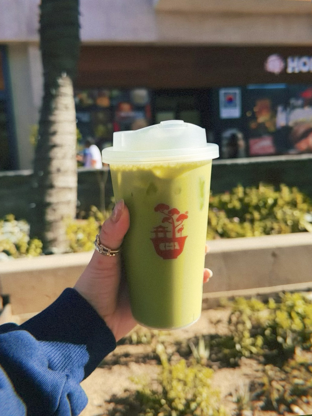 SGV Iced Matcha Latte Cha Redefined
