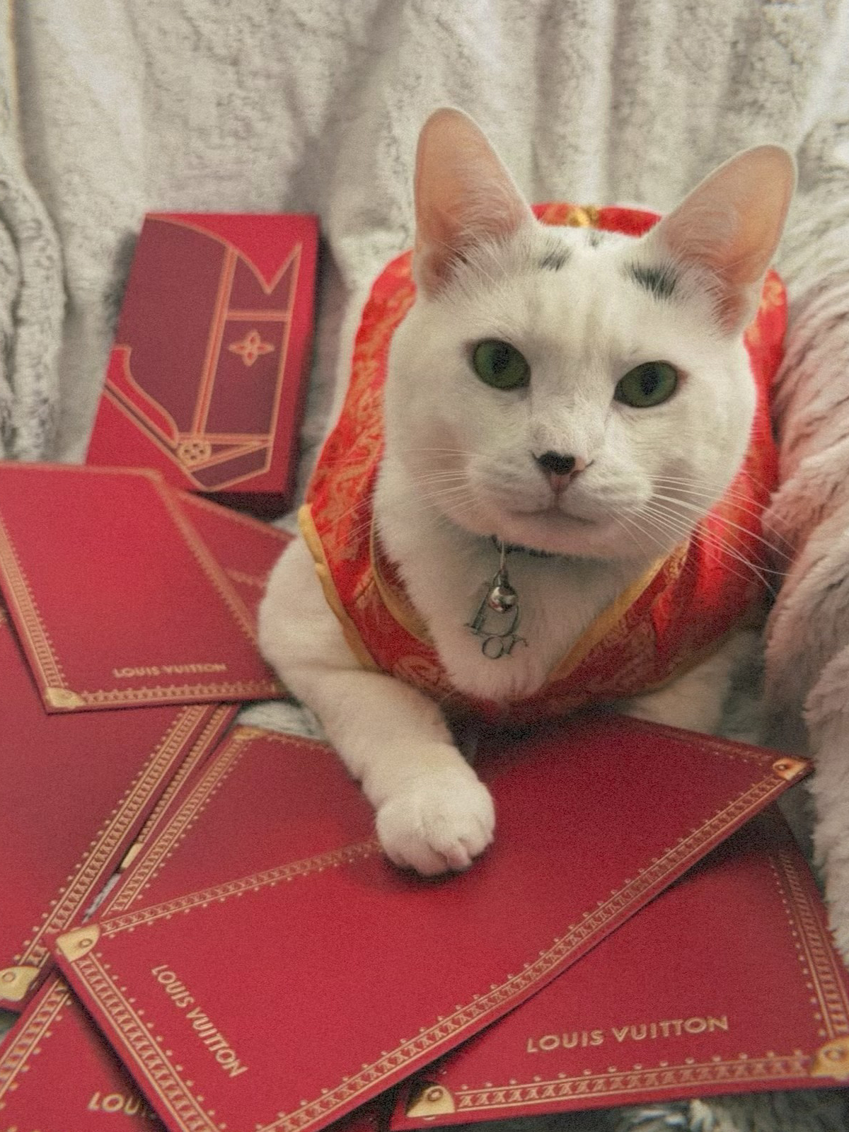 Louis Vuitton Lunar New Year Red Envelopes 2026