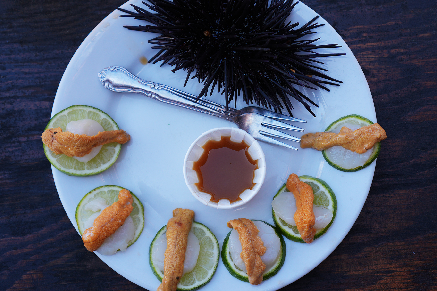 Santa Barbara Shellfish Company Sea Urchin with Scallop