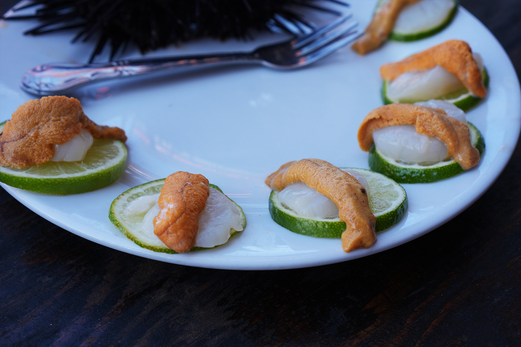 Sea Urchin with Scallop