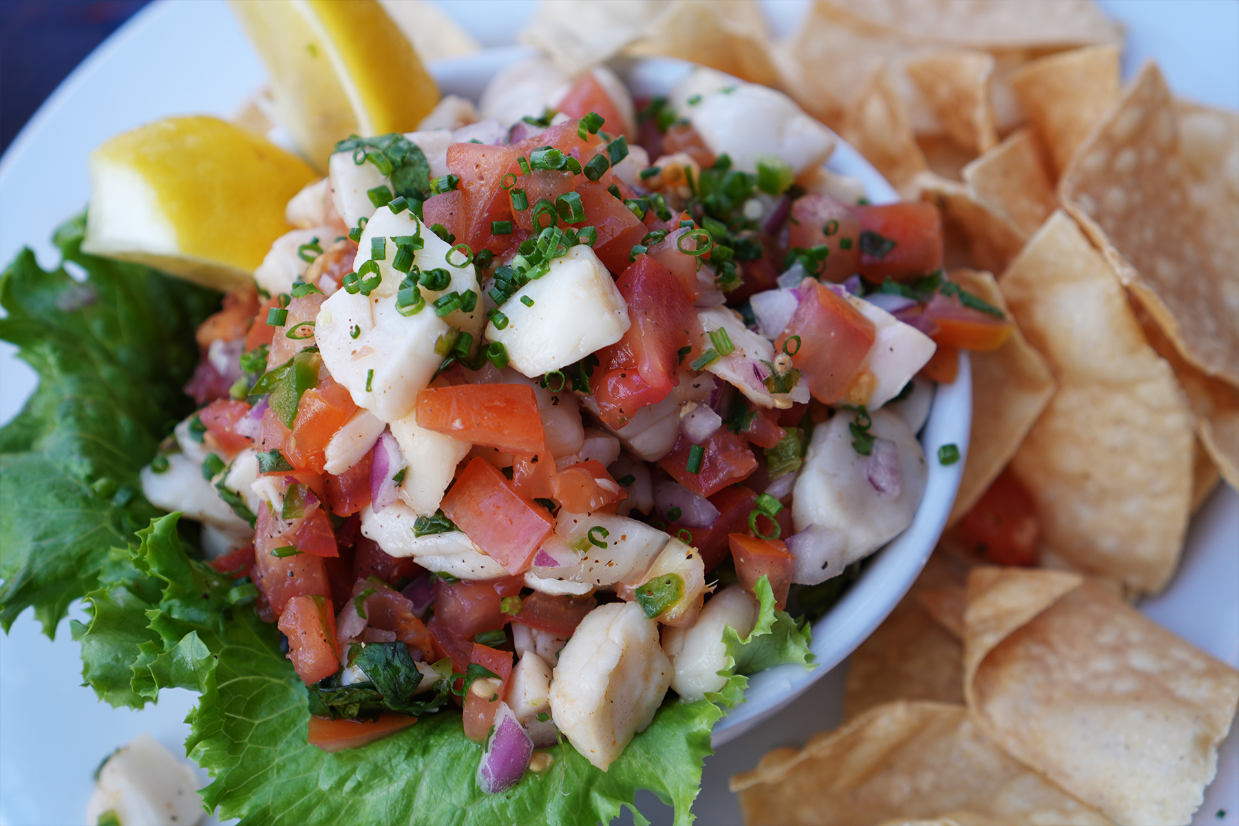 Santa Barbara Shellfish Company Scallops Ceviche