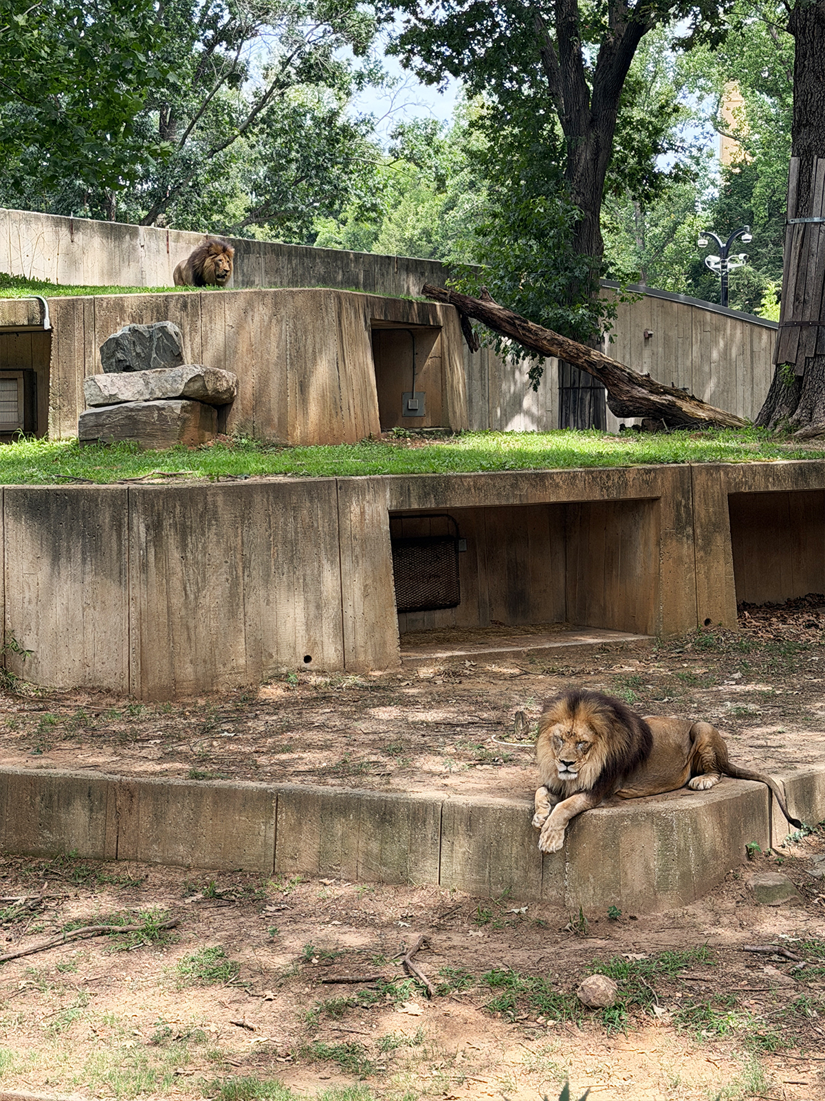 Washington DC Smithsonian National Zoo