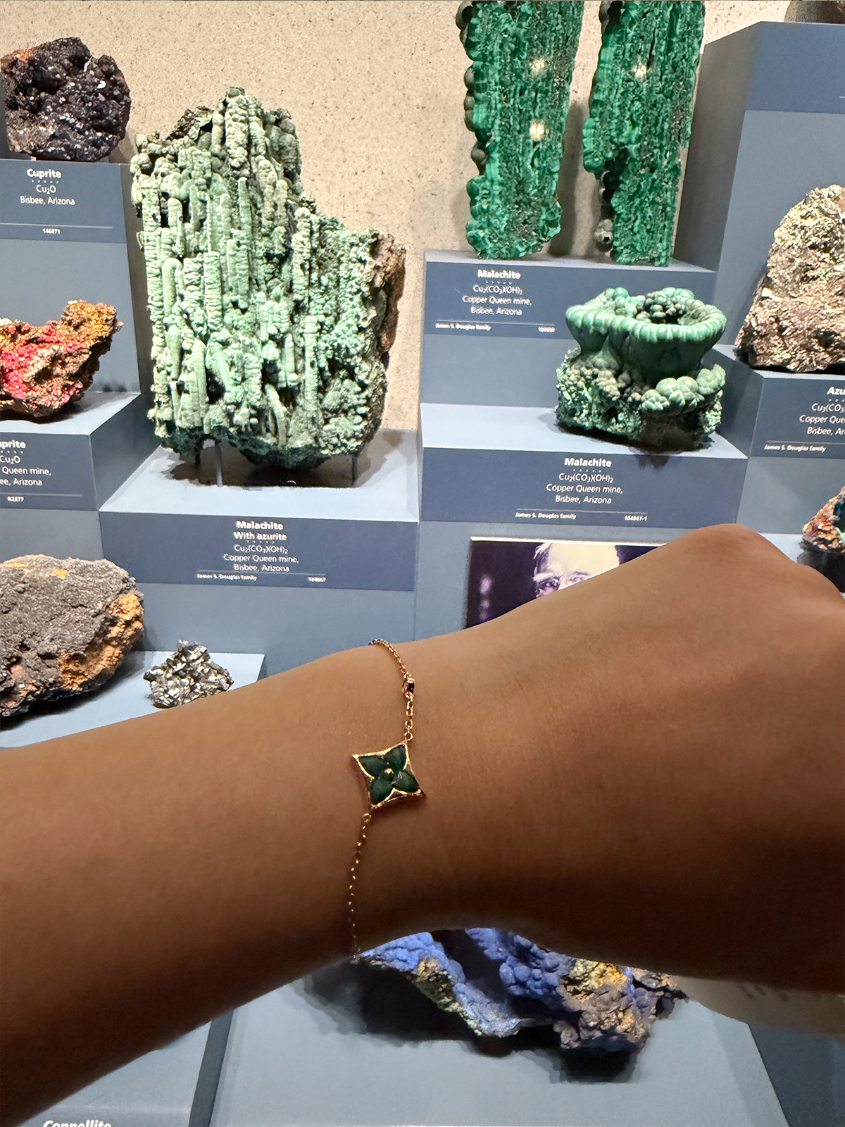 Museum of Natural History